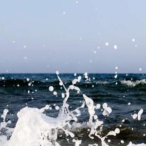 Meet your Posher, Isabelle